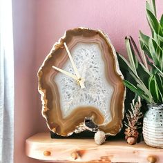 a clock sitting on top of a wooden shelf next to a potted green plant