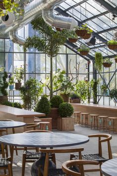 the inside of a greenhouse with many tables and chairs, potted plants on each side