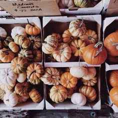 several boxes filled with different types of pumpkins