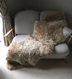 a teddy bear laying on top of a couch next to a window