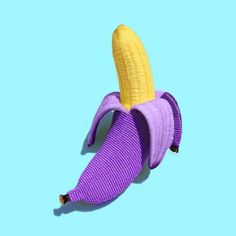 a purple and yellow banana on a blue background