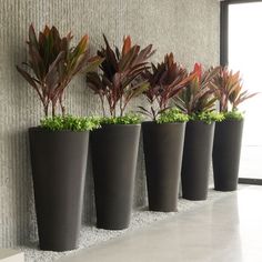 a row of planters on the side of a wall with plants growing in them