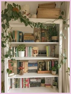 a bookshelf filled with lots of books next to a potted plant and wicker basket