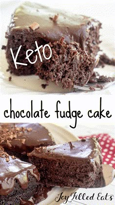 chocolate fudge cake on a plate with the words keto above it