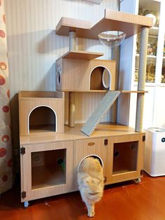 a cat standing in front of a wooden toy house with several shelves and scratching pads on the floor