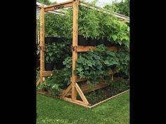 an outdoor garden with lots of plants growing in it