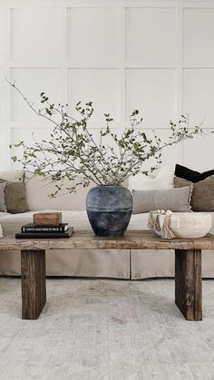 a living room with a couch, coffee table and vase