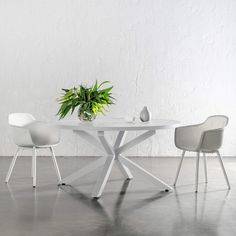 a white table with two chairs and a potted plant