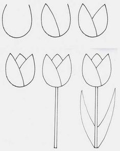 how to draw tulips step by step with pictures for kids and beginners