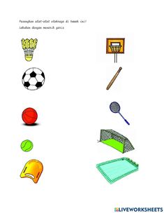 an image of different objects that are in the same drawing style, including tennis balls and badminton rackets