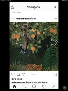 the instagram page on instagram shows an orange tree with leaves and animals in it