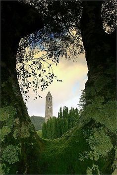 an image of a clock tower seen through some mossy trees in the distance,