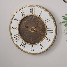 a clock with roman numerals is on the wall next to a potted plant