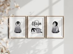 three framed art prints with penguins on them