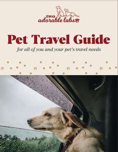 a dog sitting in the passenger seat of a car with text that reads pet travel guide for all of you and your pet's travel needs