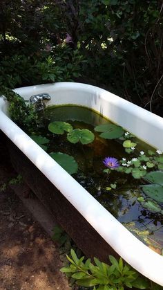 an old bathtub filled with water lilies and lily pads in a garden pond