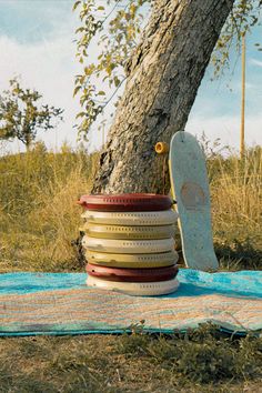 a skateboard leaning against a tree on top of a blanket