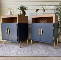 two blue cabinets with gold handles on top of a rug in front of a house