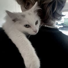 a woman holding a white cat in her arms