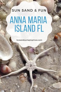 an ocean starfish on the sand with text overlay that reads, sun sand & fun anna maria island fl