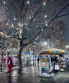 people are walking on the sidewalk in front of a tree with lights hanging from it