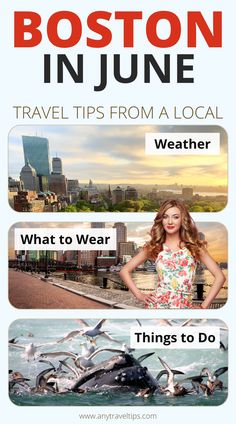 boston in june travel tips from a local