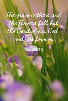 some purple flowers and green grass with a bible verse