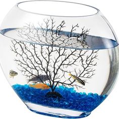 a fish bowl filled with blue water and seaweed in it's bottom half