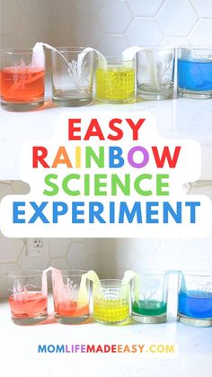 before and after images stacked on top of each other showing the colorful changes that occur during this rainbow stem activity for kids! The text reads "easy rainbow science experiment". Rainbow Stem, Rainbow Science Experiment, Stem Activity For Kids, Rainbow Science, Toddler Stem, Capillary Action, Easy Stem, Science Experiment For Kids, Experiment For Kids