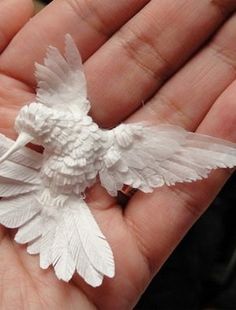 a small white bird sitting on someone's hand