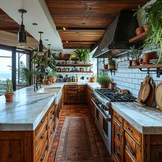 a kitchen with lots of plants on the counter top and wooden cabinets, along with potted plants