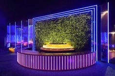 an outdoor area with plants and lights in the background at night, surrounded by glass walls