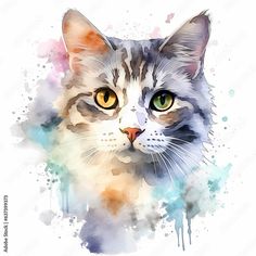 a watercolor painting of a cat's face