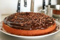 a cake with chocolate frosting and sprinkles sitting on top of a white plate