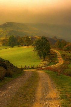 a dirt road in the middle of a lush green field with hills and trees on either side