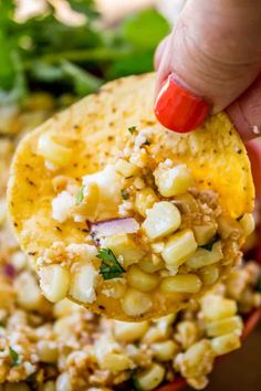 a hand holding up a tortilla filled with corn and cheese, topped with cilantro