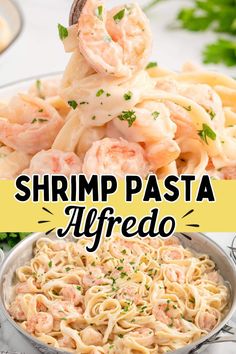 Shrimp Pasta Alfredo Shrimp Pasta Alfredo, Pasta Alfredo Recipe, Southwest Chicken Pasta, Quick And Easy Comfort Food, Chicken Bacon Ranch Pasta, Pasta Recipes Alfredo, Pasta Alfredo, Pinky Girl, Chicken Alfredo Pasta