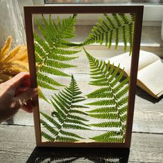 a person holding up a green leaf in front of an open book on a table