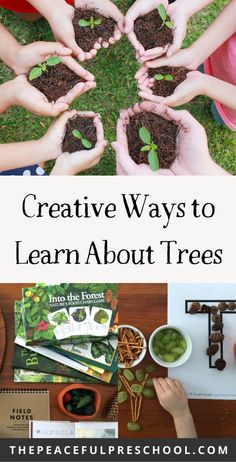 hands holding plants with the words creative ways to learn about trees