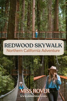 Suspension bridges in the redwood forest. The redwood skywalk in Northern California Humboldt County California, Sky Walk, Redwood Trees, Highway 101, California Hikes, Redwood National Park, Humboldt County, National Park Road Trip, California Travel Road Trips