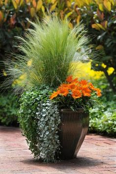 a potted plant sitting on top of a brick floor next to some grass and flowers