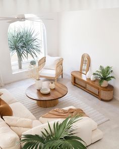 a living room filled with furniture and plants