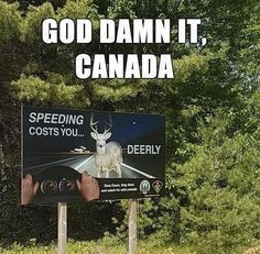 a sign that says, god damn it, canada speeding cost you deerly on the road