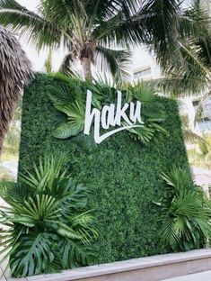 the sign for hakku is surrounded by plants and palm trees