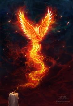 a painting of a bird with flames flying over it's body and wings in the air