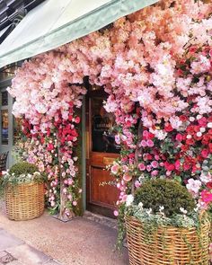 pink and red flowers are growing on the side of a building with green awnings