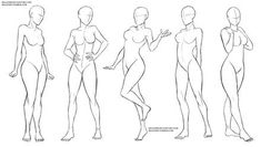 an image of female body shapes