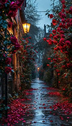 a dark street with flowers on the side and a light hanging over it at night