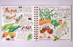 an open notebook with drawings on it and some words written in the pages to describe what plants are