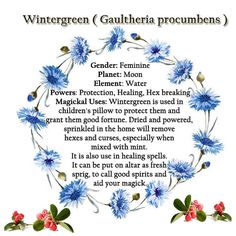 a poem with blue flowers and green leaves in the center, surrounded by words that read'wintergreen gaulieria proembenns '